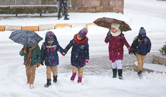 Karaman'da okullar tatil mi? Karaman valiliği 14 ocak için açıklama yaptı!