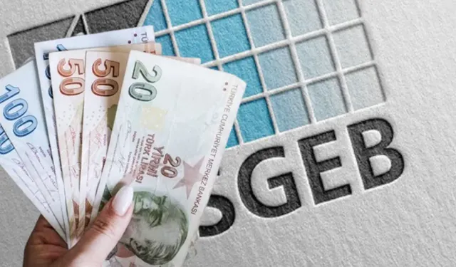 Hayallerinizdeki İş İçin Devlet Kilidi Açtı: KOSGEB'den 415 Bin TL Hibe Desteği