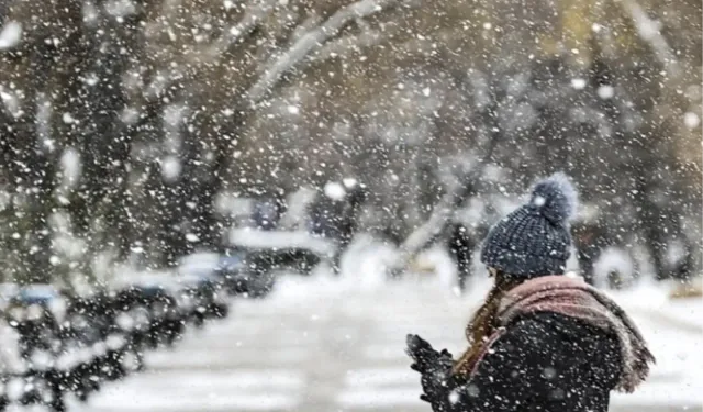 (VAN VALİLİĞİ - KAR TATİLİ) Van okullar tatil mi, 6 Ocak Salı Van'da okul yok mu?