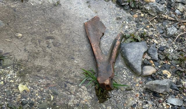 Eğirdir Gölü kıyısında bulunan kemiklerin hayvana ait olduğu değerlendiriliyor