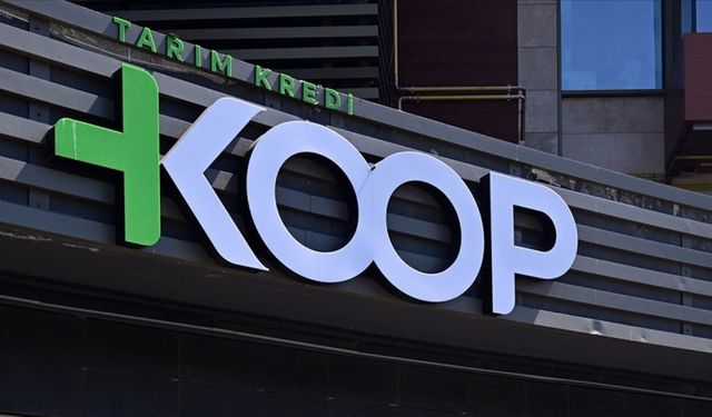 Sofralara bereket geliyor: Koop Market kıyma fiyatını sabitledi!