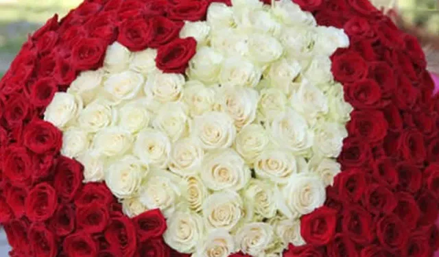 Tek Gül, Kırmızı Gül, İthal Gül Kaç TL Oldu? Sevgililer Günü Gül Fiyatları 2026