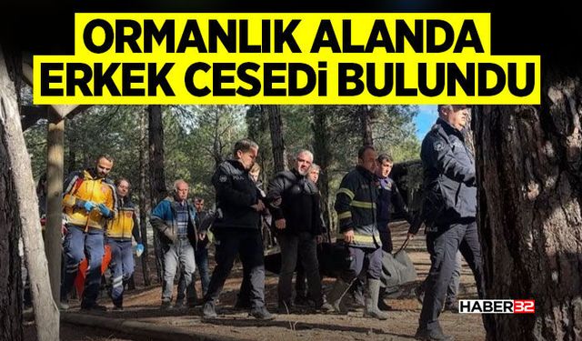 Ormanlık alanda erkek c*s*di bulundu