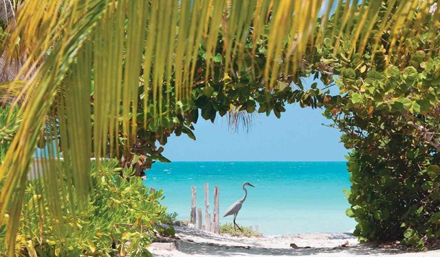 Holbox Adası Hangi Ülkede, Nerede?