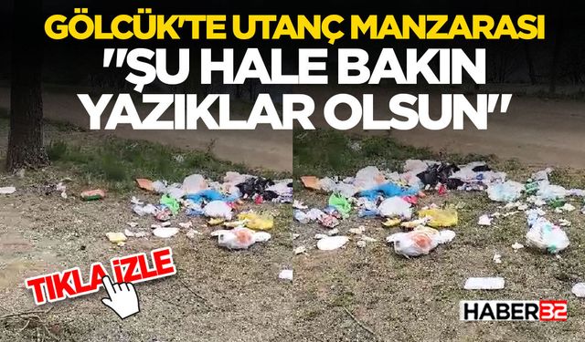 Gölcük'te Utanç Manzarası: "Şu Hale Bakın Yazıklar Olsun"