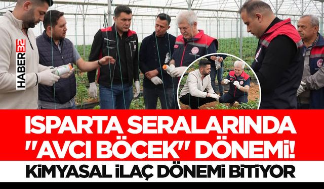 Isparta Seralarında "Avcı Böcek" Dönemi!