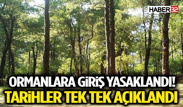 Ormanlara Giriş Yasaklandı! Tarihler Tek Tek Açıklandı