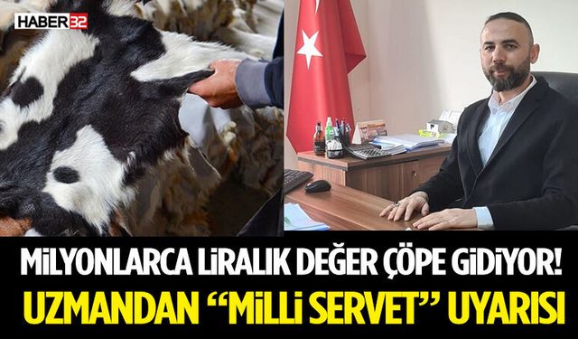 Milyonlarca Liralık Değer Çöpe Gidiyor! Uzmandan “Milli Servet” Uyarısı