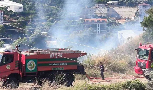Alanya'da zirai alanda çıkan yangında 1 dönüm zarar gördü