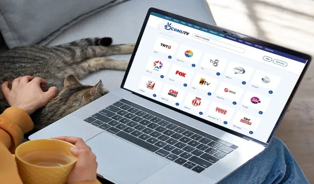 5 Haziran Arka Sokaklar yeni bölüm saat kaçta? Cuma hangi diziler var?