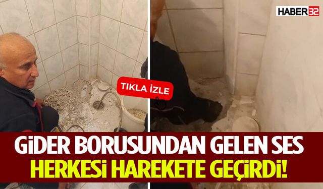 Gider Borusundan Gelen Ses Herkesi Harekete Geçirdi!