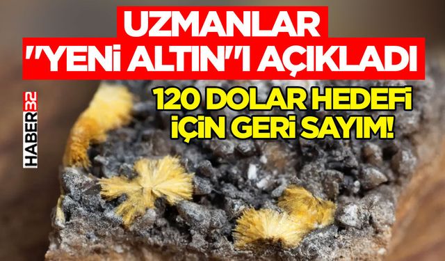 Uzmanlar "Yeni Altın"ı Açıkladı