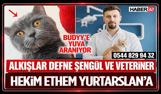Alkışlar Defne Şengül Ve Veteriner Hekim Ethem Yurtarslan’a