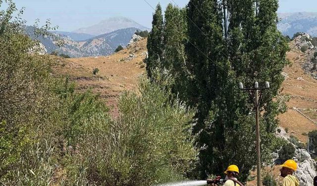 Alanya'da otluk alanda çıkan yangın büyümeden söndürüldü
