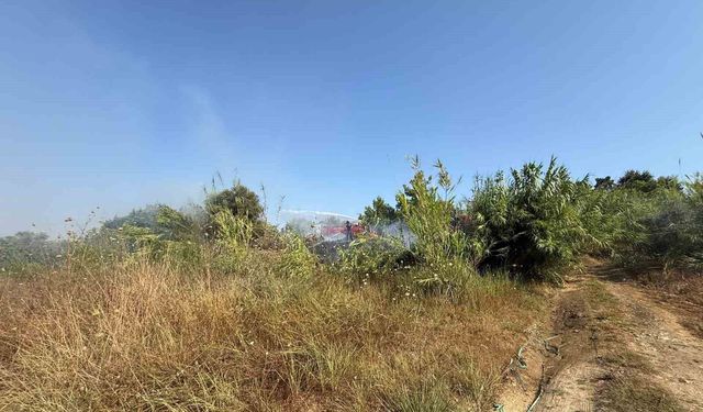 Manavgat'ta kamışlık alanda çıkan yangın söndürüldü