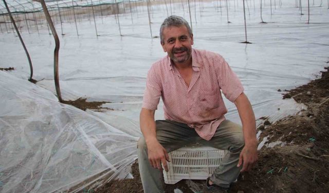 Seralarda yeni sezon üretim için solarizasyon dönemi başladı
