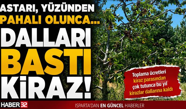 Astarı, Yüzünden Pahalı Olunca… Dalları Bastı Kiraz!