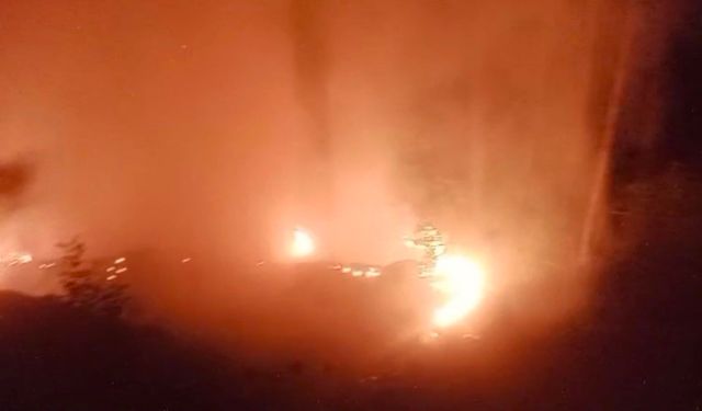 Alanya'da ormanlık alan yangınında 2 dönüm alan zarar gördü