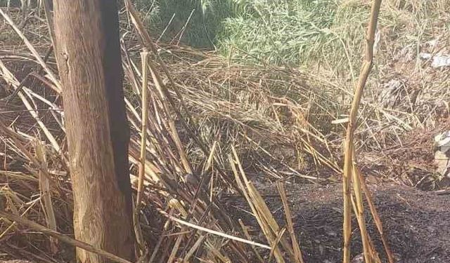 Alanya'da otluk alanda çıkan yangın büyümeden söndürüldü