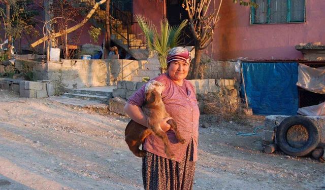 Çifte cinayet 7 yıl sonra çözüldü: Oğulları devlete teşekkür etti