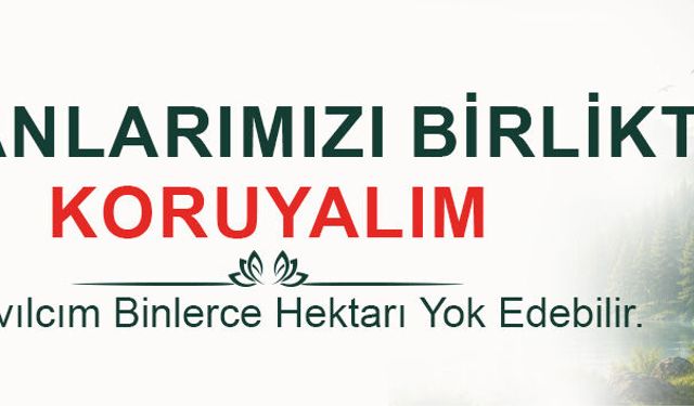 Ormanlarımızı Koruyalım Reklamı