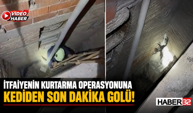 İtfaiyenin Kurtarma Operasyonuna Kediden Son Dakika Golü!