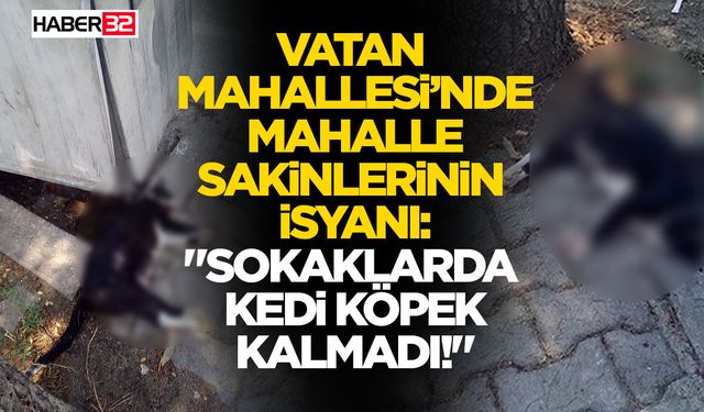 "Sokaklarda Kedi Köpek Kalmadı!"
