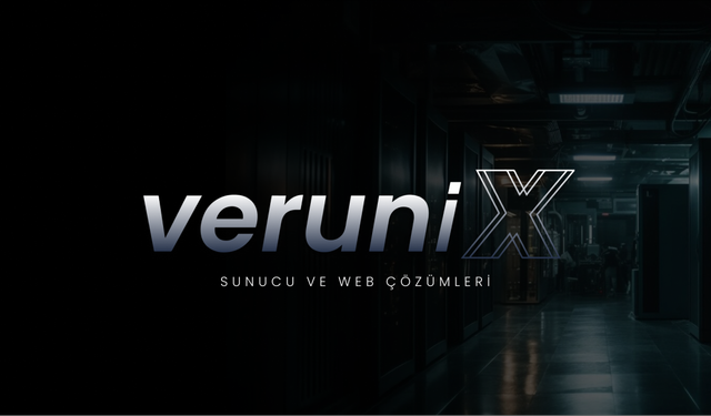 Web Hosting Seçerken Disk, RAM ve CPU Neden Önemlidir?