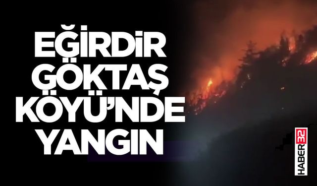 Eğirdir Göktaş Köyü’nde Yangın