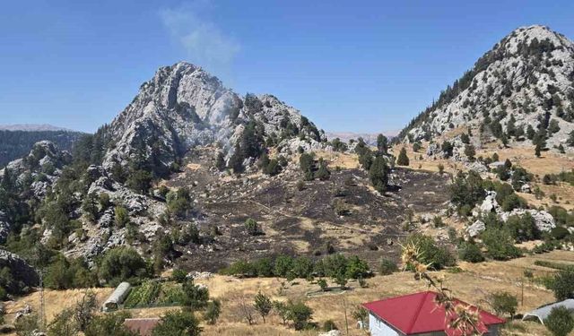 Alanya’nın iki ayrı mahallesindeki kısmen ormana sıçrayan yangın söndürüldü
