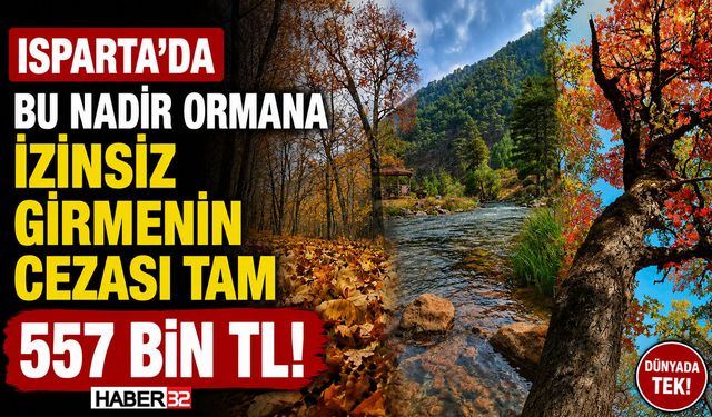 Isparta'daki Bu Ormana İzinsiz Girmenin Cezası: 557 Bin TL!