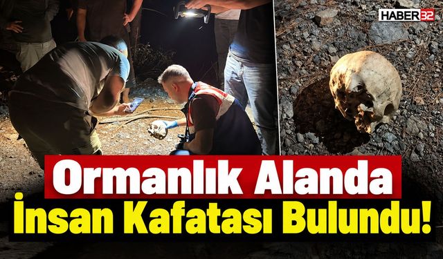 Ormanlık Alanda İnsan Kafatası Bulundu!