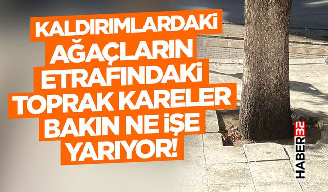Kaldırımlardaki Ağaçların Etrafındaki Toprak Kareler Bakın Ne İşe Yarıyor