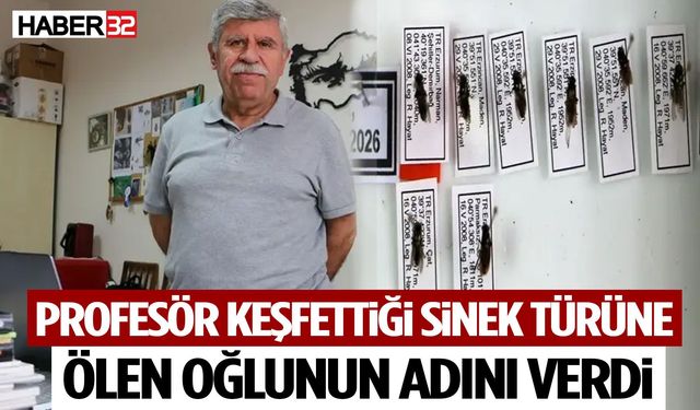 Profesör Keşfettiği Sinek Türüne Ölen Oğlunun Adını Verdi