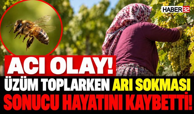 Acı Ölüm! Üzüm Toplarken Arı Sokması Sonucu Öldü!