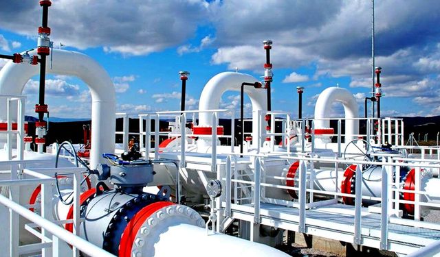 Doğal Gaz (LNG) Alımı Yapılacaktır