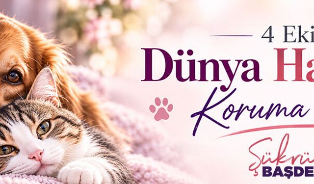 HAYVANLARIMIZI KORUYALIM ÇALIŞMASI 1