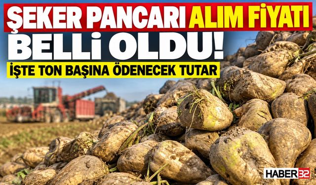 Şeker Pancarı Alım Fiyatı Belli Oldu: İşte, Detaylar...