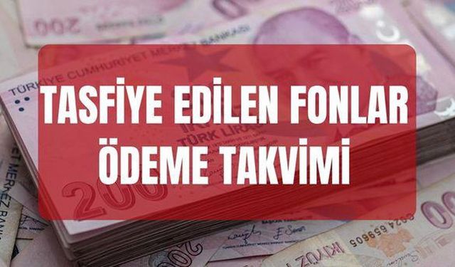 Tasfiye Edilen Fonlar Ne Zaman Ödenecek?
