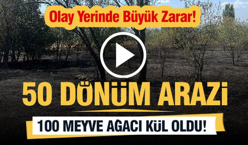 100 Meyve Ağacı ve 50 Dönüm Arazi Kül Oldu