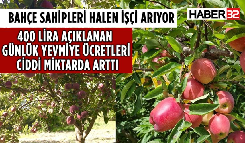 Isparta'da Elma Toplama İşçileri Aranıyor