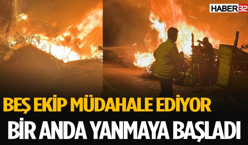 Son Dakika Yangın Çıktı Ekipler Müdahale Ediyor