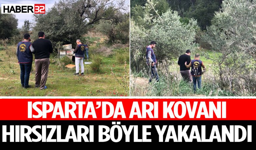 Isparta’da Arı Kovanı Hırsızları Böyle Yakalandı