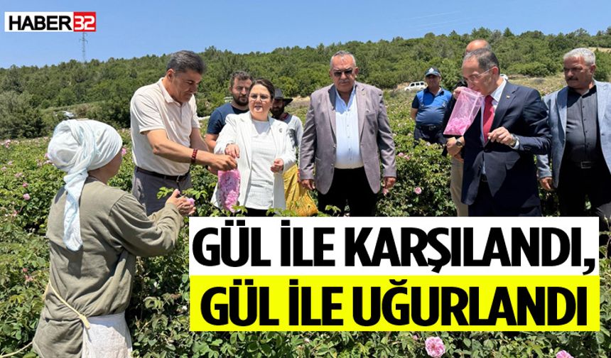 Derya Yanık Güneykent’te Gül Hasadına Katıldı