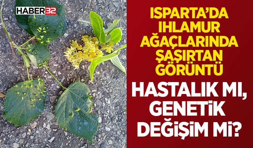 Hastalık mı, Genetik Değişim mi?