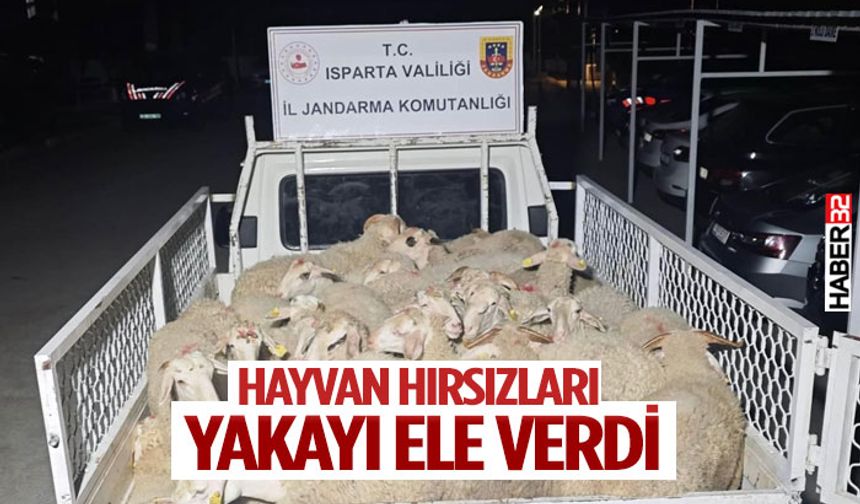 Hayvan hırsızları yakayı ele verdi