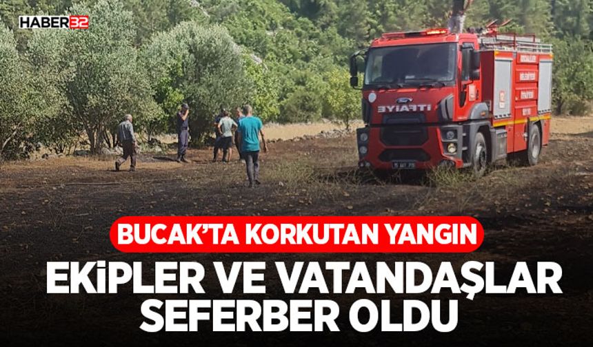 Korkutan Yangın: Ekipler ve Vatandaşlar Seferber Oldu