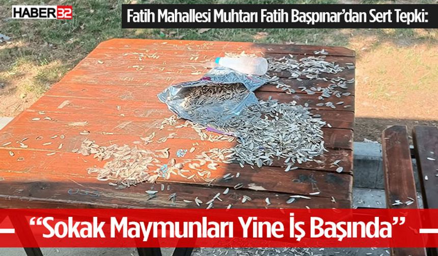Fatih Mahallesi Muhtarı Fatih Başpınar’dan Sert Tepki: “Sokak Maymunları Yine İş Başında”