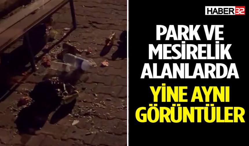 Park Ve Mesirelik Alanlarda Yine Aynı Görüntüler