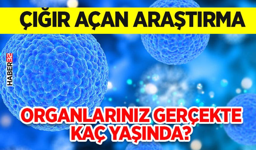 Organlarınız Gerçekte Kaç Yaşında?